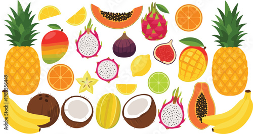 Tropical Fruit Collection with Pineapple Banana Coconut Papaya Dragon Fruit and Citrus Elements for Fresh Healthy Food Design and Summer Illustration Set