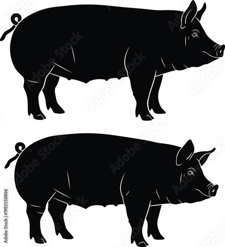 "Black silhouette vector illustration of two pigs side by side showing different body types for farm animal design"
