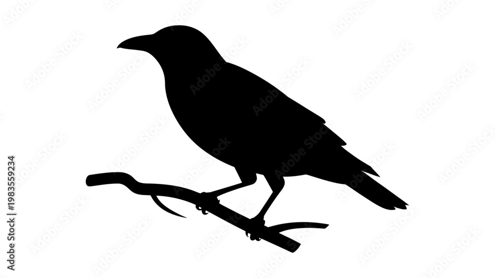 Obraz premium Detailed black silhouette of single crow bird perched on a branch