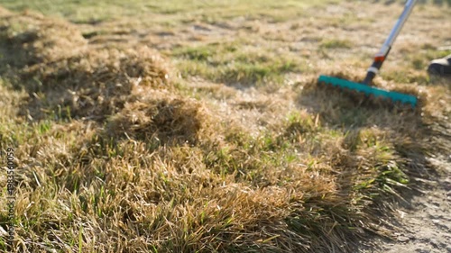 Wallpaper Mural Raking lawn to remove dry dead grass after winter with garden rake slow motion Torontodigital.ca