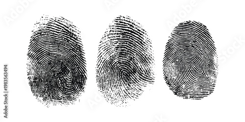 Three distinct fingerprint patterns isolated on transparent background