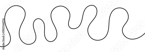 Elegant black line squiggle cable with organic curves.