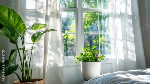 Cozy Living Room With Plants and Soft Pillows Near the Window in Bright Daylight