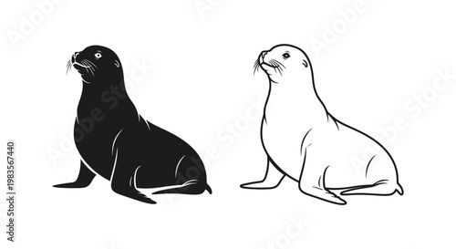 Sea Lions: Cute Marine Mammals Comparison Vector