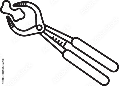 Premium Medical Slide Preparation Forceps Vector Icon with Specimen Sample for Histology Labs, Microscopy Research, Pathology Reports, Educational Slides, Medical Training Manuals, Anatomy