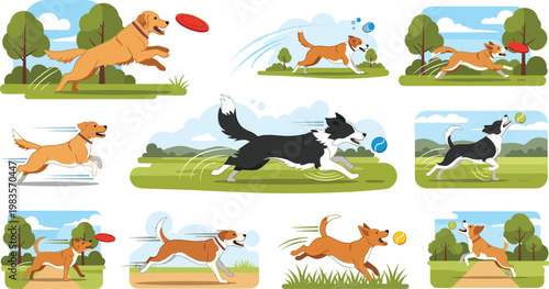 Active dogs playing outdoors vector illustration set with running jumping fetching frisbee in park landscape scenes