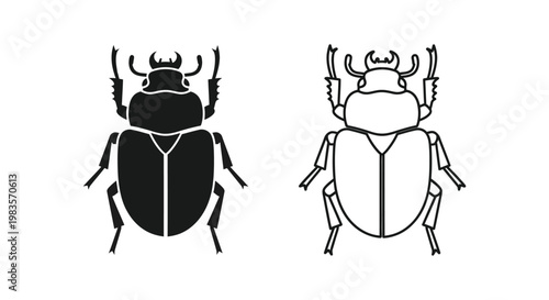 Beetle Vector Illustrations - Insect Graphics for Designers Vector