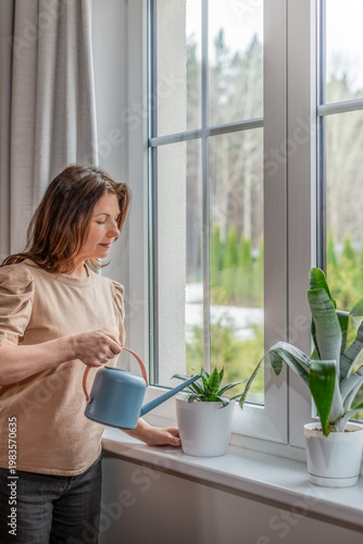 Woman watering houseplants with watering can on windowsill at home, midlife female caring for potted flowers, indoor plant care concept with copy space