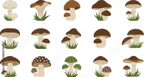 Collection of mushroom vector illustrations featuring different forest fungi species isolated on white background botanical design set