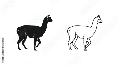 Llama Animal Silhouette Designs Unique Graphic Vector