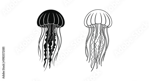 Jellyfish Designs: Elegant Sea Creatures Art Vector