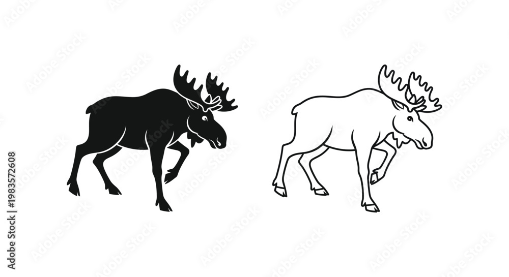 Fototapeta premium Moose vs Elk: Wildlife Comparison Guide Vector