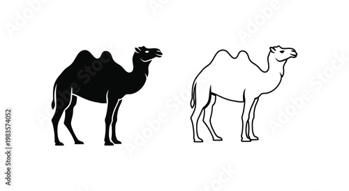 Camel Illustrations: Bactrian vs Dromedary Camels Vector