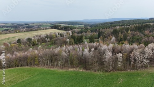 Hügelige Streuobstlandschaft im Frühling

