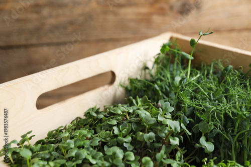 Different types of microgreens in wooden crate, closeup