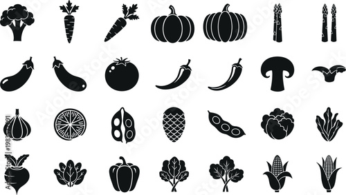 Eco friendly product packaging design with green leaves natural organic branding sustainable environment concept vector illustration