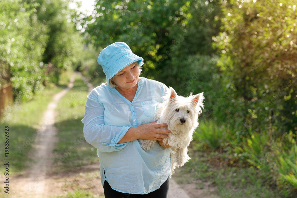 Fototapeta premium A middle-aged woman in a blue sun hat and light shirt walking along a rural path, tenderly carrying her white West Highland Terrier in her arms on a sunny day.