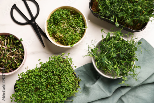Different types of microgreens and scissors on white table, flat lay