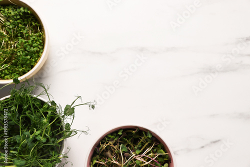 Different types of microgreens on white marble table, flat lay. Space for text