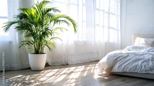 Bright Room With Large Windows Showing Greenery Outside and a Plant in a Basket