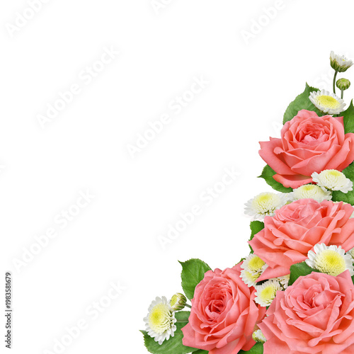 Coral rose flowers and chry...