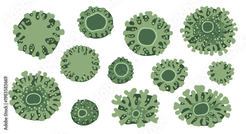 A diverse collection of vibrant green organic shapes resembling microscopic cells features intricate textures and varying shades of mossy emerald colors.