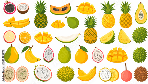 Variety of Exotic Fresh Tropical Fruits.