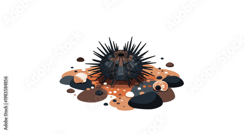 A sharp black sea urchin rests on a patch of warm orange sand surrounded by smooth dark pebbles and delicate seashells on a white background surface.
