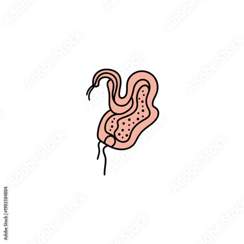 Intestinal Parasite Microorganism Illustration Vector Icon