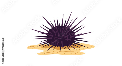 A vibrant purple sea urchin displays its long and sharp defensive spines while resting on a small mound of light tan sand against a white backdrop scene.