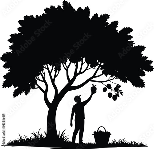 A person picking fruit from a large tree in a serene outdoor setting