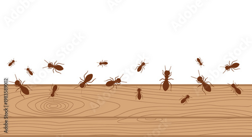 A side-view illustration depicts several brown ants walking along the top edge of a horizontal wooden plank against a stark and clean white background.