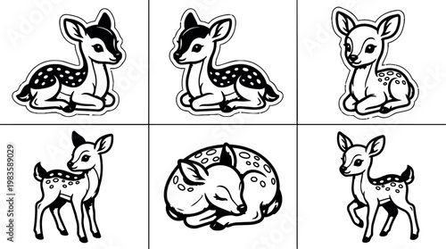 Adorable fawn deer in various poses
