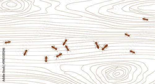 A group of small brown ants is captured from a top-down perspective as they crawl across a light-colored surface with intricate wood grain patterns.