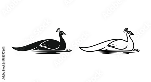 Elegant Peacock Designs Artwork Vector