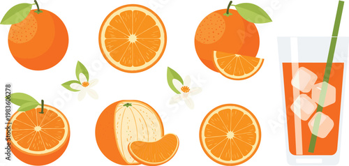Fresh orange fruits and juice vector illustration featuring citrus slices leaves and glass drink healthy summer collection isolated