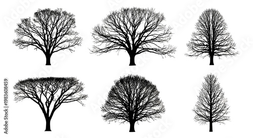 Diverse collection of bare tree silhouettes, showcasing unique branch structures, ideal for conceptual winter landscape designs, graphic assets, and natural themed projects