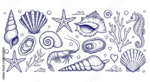 Hand-drawn marine life collection featuring various seashells, starfish, seahorse, shrimp, and coral, perfect for ocean-themed designs and decorations