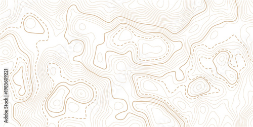 Light topographic topo contour map background. Geographic abstract grid. vector illustration . Topography and geography map grid abstract backdrop. Business concept. Vector illustration
