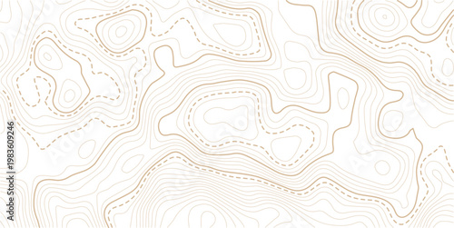 Light topographic topo contour map background. Geographic abstract grid. vector illustration . Topography and geography map grid abstract backdrop. Business concept. Vector illustration
