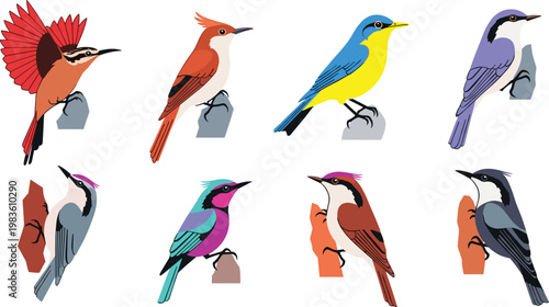 Nuthatches and small perching birds wildlife flat icon set