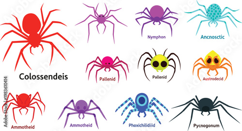 Sea spider species and marine pycnogonid arthropods icon set