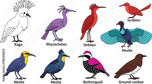 Tropical butterfly species and colorful insects wildlife flat icon set