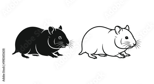 Hamster Types: Black and White Hamsters Guide Vector