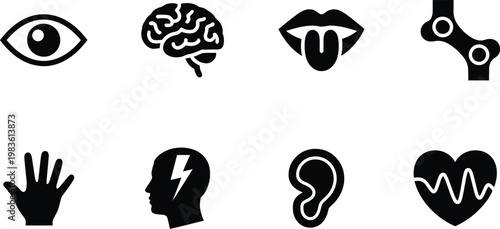 Human body organ and sense icon set. Eye, brain, mouth, bone, hand, ear, heart, health, medical - stock vector