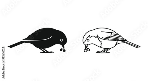 Black and White Birds Silhouette Designs Vector