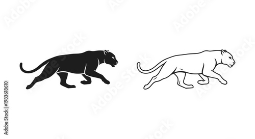 Black Panther vs Leopard: Feline Comparison Vector