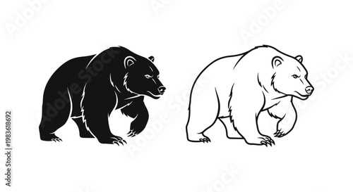 Black Bear vs Polar Bear: Key Differences Vector
