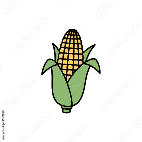 Fresh ear of corn with husk vector illustration