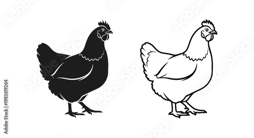 Chickens Illustration: Rooster Hen Black White Art Vector